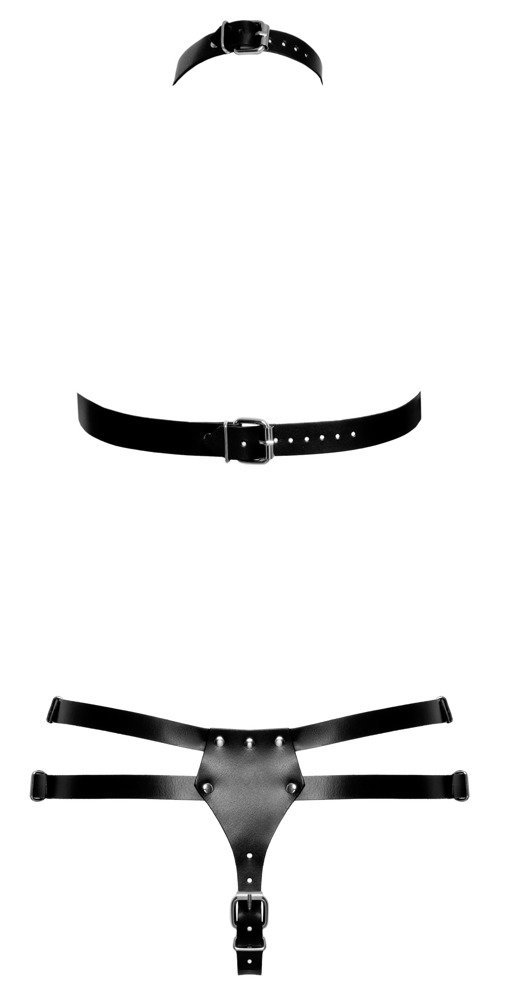 Harness-Set aus Leder, schwarz